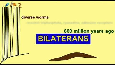 GENETIC EVIDENCE FOR EVOLUTION: THE NESTED HIERARCHY AND CELL MEMBRANE PROTEINS