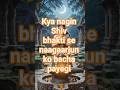 #vish-vyaghr part-4 Shiv Bhakt😇 Poornima🐍 #viral #shorts #story #facts #horrorstories #cartoon