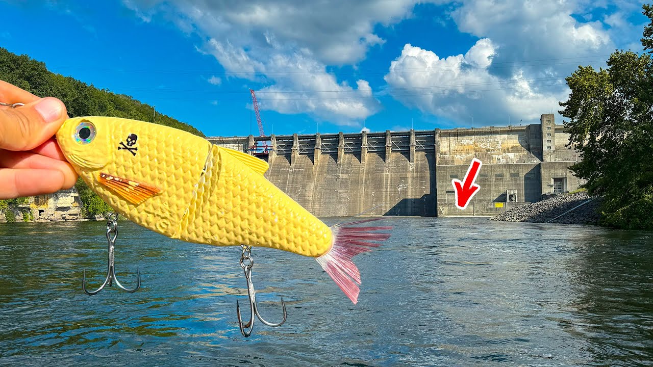 Fishing BIG Glide Baits For HUGE Fish Under Tennessee Dam! (I CAUGHT A MONSTER!!)