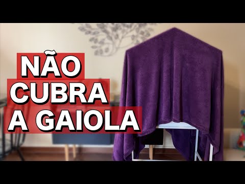 Vídeo: Você deve colocar um cobertor sobre uma gaiola?