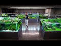 ADA Nature Aquarium Gallery Full Tour