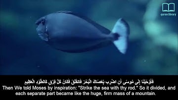 سورة الشعراء   ياسر الدوسري   مترجم Surah Ash Shu'araa   Quran   English subtitles