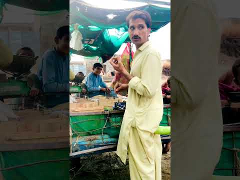 Funnyvideo Comedy Jameelsiyal Fun Jokes