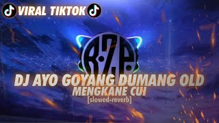 [VIRAL TIKTOK] DJ AYO GOYANG DUMANG OLD [slowed - reverb]