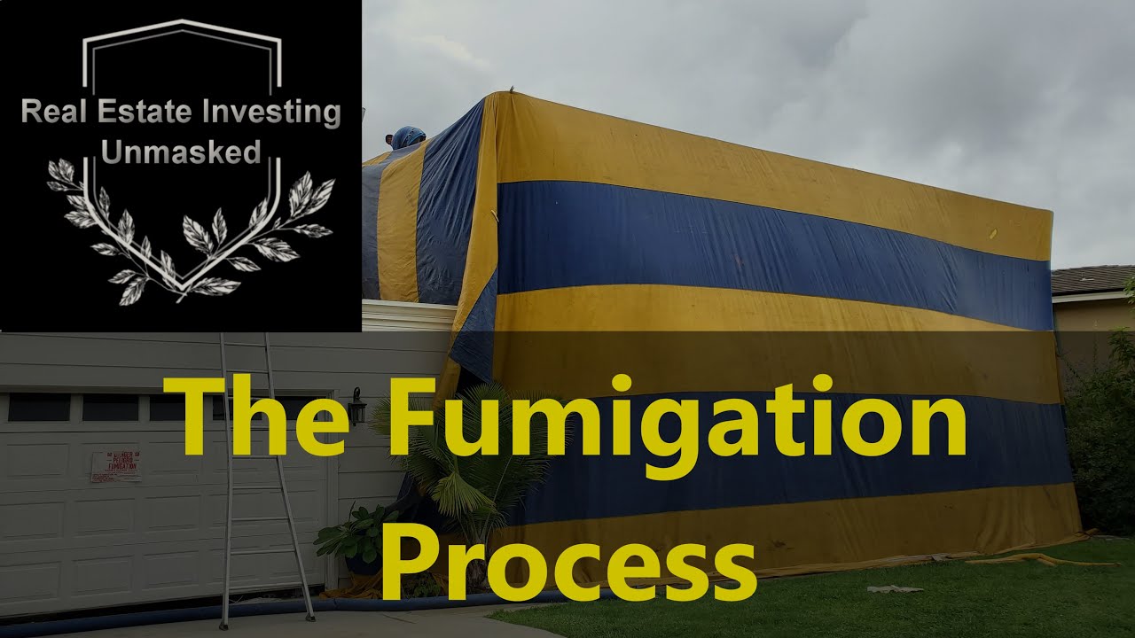 How Does Fumigation Work? The Whole Process As I Saw It