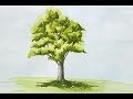 Peindre un arbre à l'aquarelle facilement