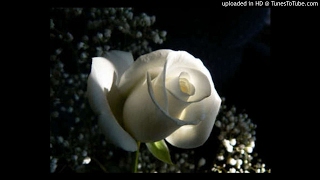 每顆心都需要愛