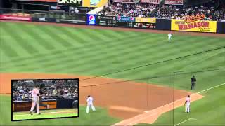 2012/07/30 Markakis' sac fly