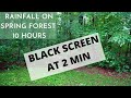 10 Hours Rainfall on Spring Forest black screen dark screen Rain Falling Forest Leaves sleep sounds