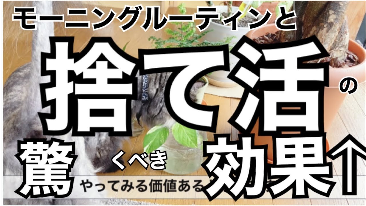 捨て活 の驚くべき効果 モーニングルーティンとともに うつ病改善 自己肯定感up 捨て活 断捨離 片付け 効果 モーニングルーティン ルーティン動画select 捨て活 の驚くべき効果 モーニングルーティンとともに うつ病改善 自己肯定感up 捨て活 断捨離 片付け 効果 モーニングルーティン ルーティン動画select