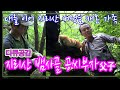 지리산  뱀사골,  심마니 공씨 부자가 사는 법 [인생의 맛] KBS 2017.9.30 방송