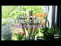 【70代を生きるNo.275】手抜きと節約。一人暮らしの作り置き／頂いたコメントへの回答。