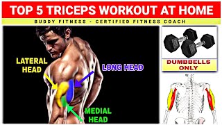 Triceps Workout At Home With Dumbbells @BuddyFitness