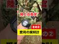 陸上自衛官の愛用の腕時計その②#militarywatch#陸上自衛隊#腕時計#watch#ミリタリーウォッチ