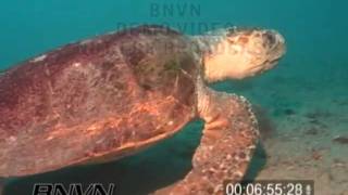 5/16/2004 Gulf Of Mexico, Wreck Of The Baja California