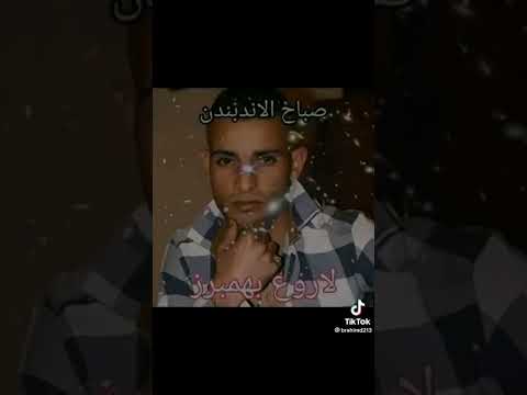عندي باندا