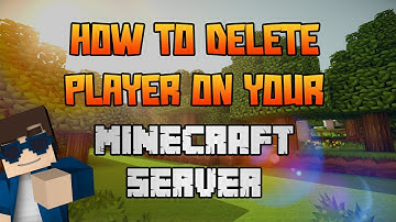 How To Delete Player On Your Minecraft Server - ScalaCube