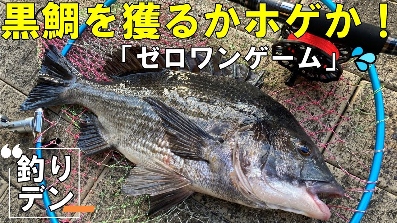 「ヘチ釣り」今はやりの(笑)黒鯛を獲るかホゲかの「ゼロワンゲーム」