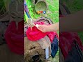 Gilhari 🐿️🥜 #viral #viralvideo #shorts