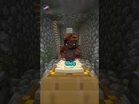 "He Became the First Player to Hit 1,000,000 Levels in Minecraft" | #minecraft #viral #short