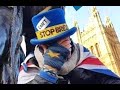 Ultimate Remoaners Brexit Compilation