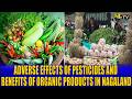 ADVERSE EFFECTS OF PESTICIDES AND BENEFITS OF ORGANIC PRODUCTS IN NAGALAND