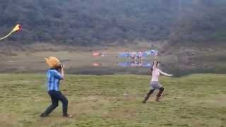 P9130089 MOV Output 2