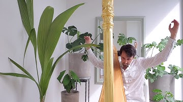 Winner of the 6th USA International Harp Competition Composition Contest (2019) - Uno Vesje