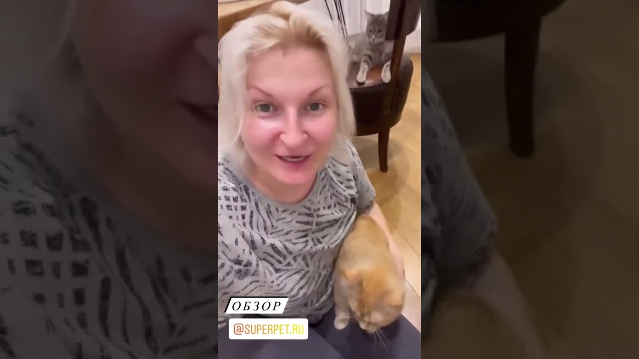 Отзыв на натуральное питание для кошек SUPERPET