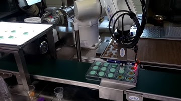 Macaroons automatic assembly
