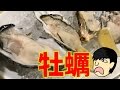 生牡蠣が250円！しかも新鮮でうまい！