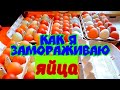 ЗАМОРОЖЕННЫЕ ЯЙЦА / ТЕСТО ИЗ ЗАМОРОЖЕННЫХ ЯИЦ / КАК СОХРАНИТЬ/ ЗАГОТОВКИ ВПРОК / ЭКОНОМИЯ /