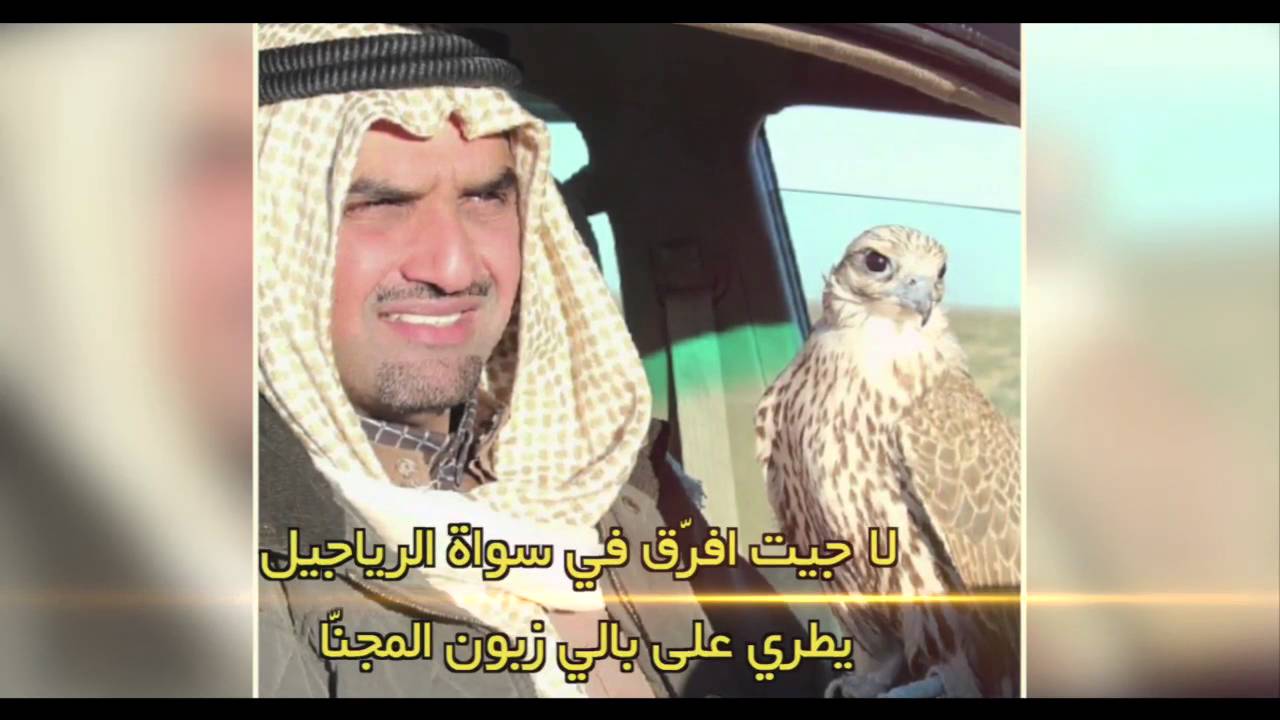 شيلة مهداه للدكتور غنيم حمود الطشه || كلمات احمد المحيسن || اداء عبدالرحمن الظفيري
