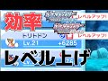 【攻略】チャンピオン(四天王)へ挑む前の効率的なレベル上げ方法【ポケモン(ダイパリメイク)】