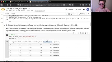Basic Statistics Colab Notebook Instructions