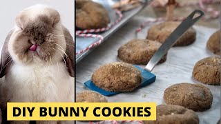 Homemade Cookies for Rabbits | TREAT RECIPE