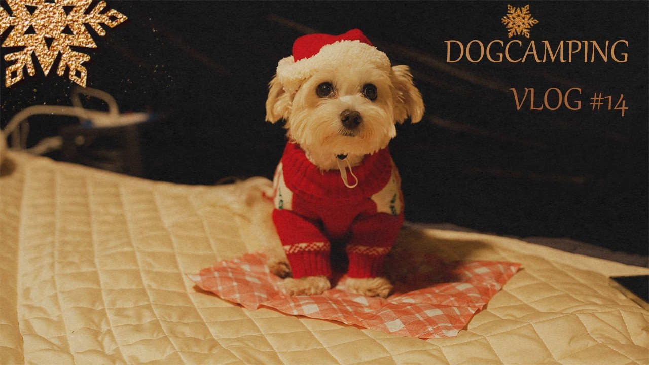 🎄Рождественский видеоблог о походе с палатками. День, словно подарок, с моей собакой Поби.