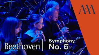 Beethoven's Symphony No. 5, Allegro