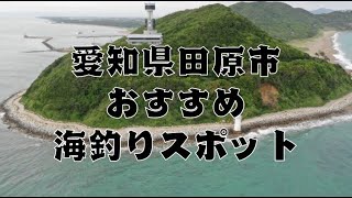 愛知県田原市のおすすめ海釣りスポット15選