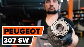 Самостоятелен ремонт на PEUGEOT 307 - видео уроци за автомобил