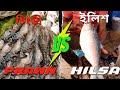 ইলিশ মাছ না বাগদা চিংড়ি, এপার বাংলা ওপার বাংলা মিলে মিশে একাকার Hilsa vs Prawn ।।