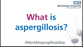 What is Aspergillosis?