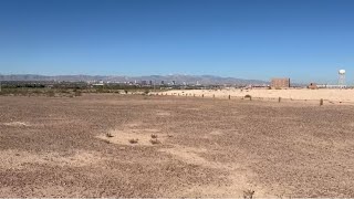 The Desert.