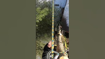 Sending The GoPro Down The Line #raw #shorts #short #treework #fail #lumberjack #arborist #rigging