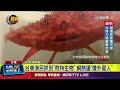 台灣漁業及文化
