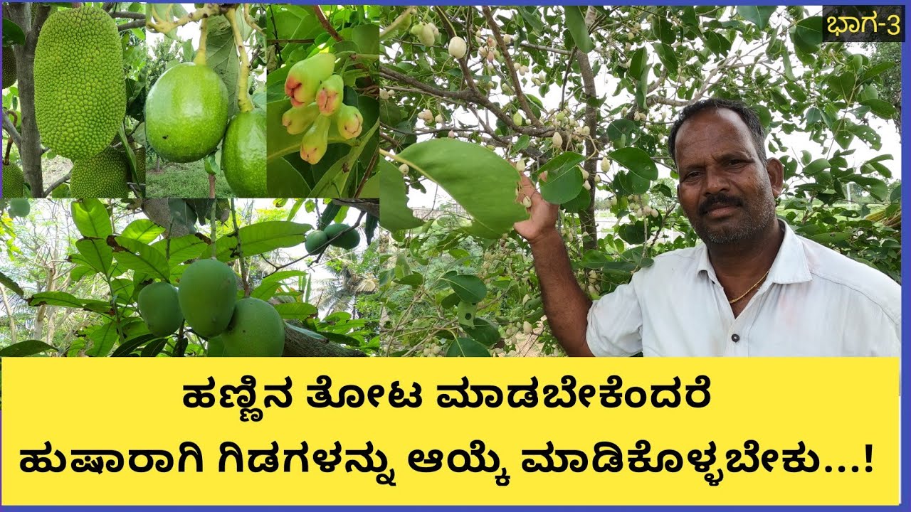 ವೈವಿಧ್ಯಮಯ ಹಣ್ಣಿನ ತೋಟ,ಬೆಣ್ಣೆ ಹಣ್ಣು ವಾಟರ್ ಆಪಲ್ ಮಾವು ಹಲಸು ಮೂಸಂಬಿ ಇತ್ಯಾದಿ...!