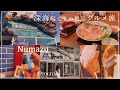 【 沼津 】深海尽くしの港町🪼絶品グルメとロマンを求めて…🦑🌊┊静岡県┊沼津港┊日帰り┊numazu