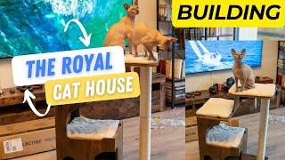 Building The Royal Cat House by Royal Animals 👑 216 views 8 months ago 9 minutes, 59 seconds