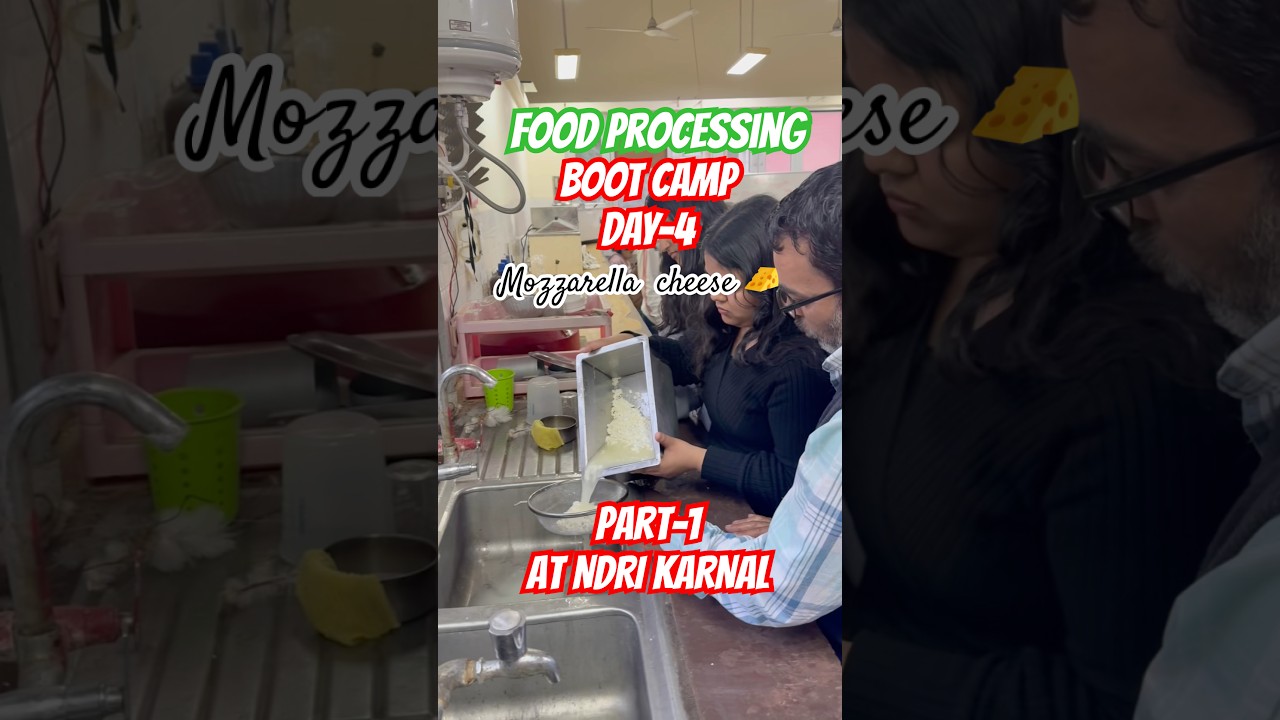 Mozzarella cheese preparation✅ 