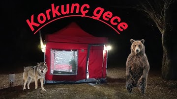 KÂBUS GİBİ KAMP.Farklı dillerde altyazı seçeneği ile tekrar yayında.